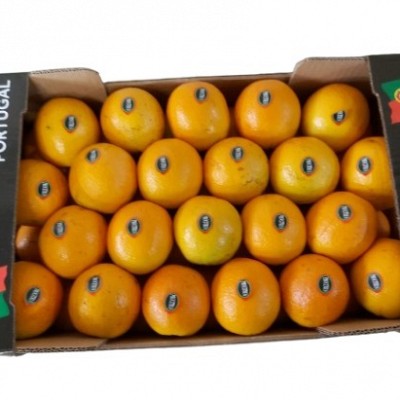 Variedade Valência late